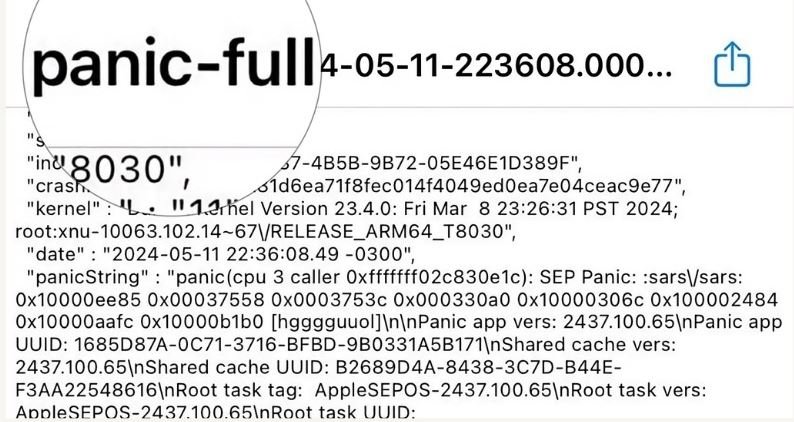 How to find panic-full.ips file on iPhone